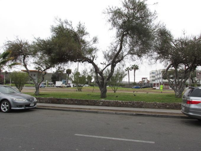 Venta de propiedad ubicada en Calle Chacabuco en la ciudad de Arica; sector con importante desarrollo comercial y donde se ubican varias entidades públicas.