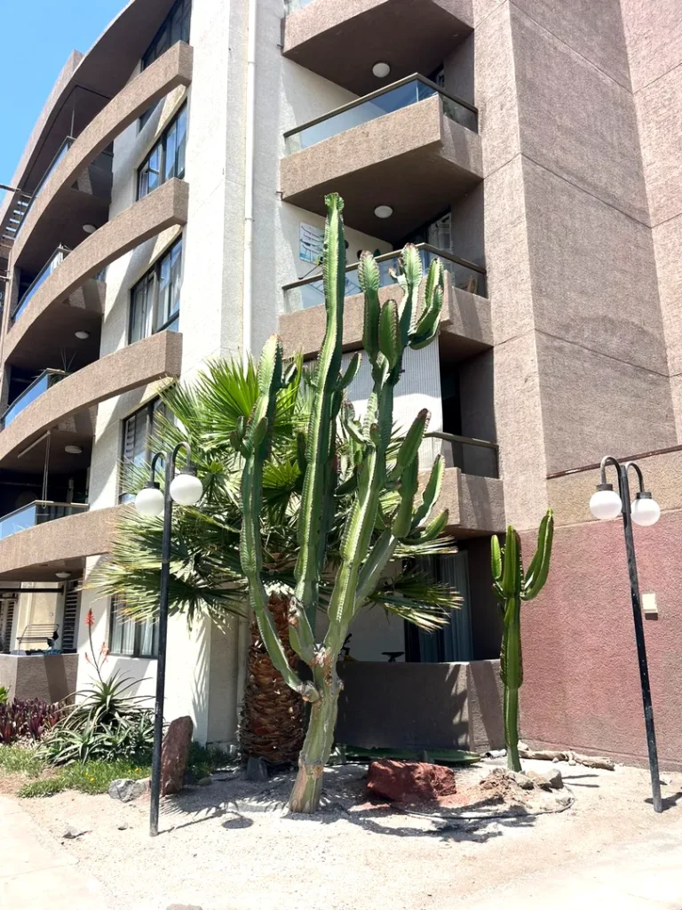 Venta cómodo departamento en Condominio Parinacota, segundo piso de 3 dormitorios y dos baños, completamente amoblado, sin estacionamiento y sin bodega.