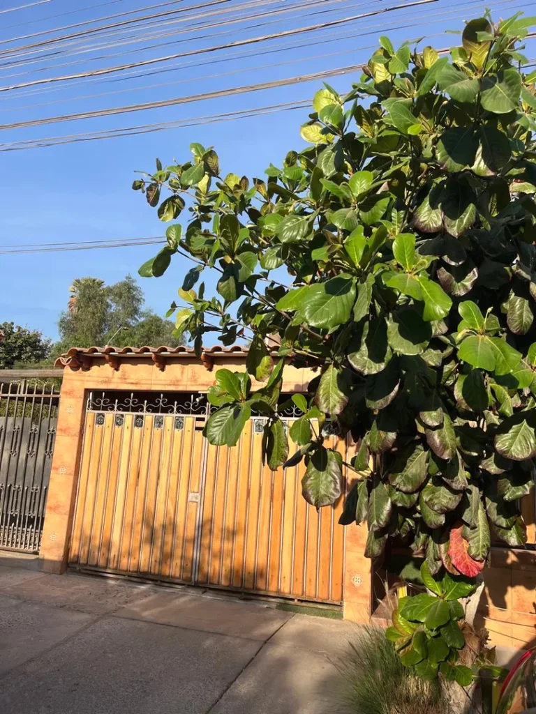 Arriendo hermosa, cómoda e impecable casa amoblada en la entrada del Valle de Azapa, casa de dos pisos totalmente sólida de 3 dormitorios y 3 baños, terraza , patio posterior.