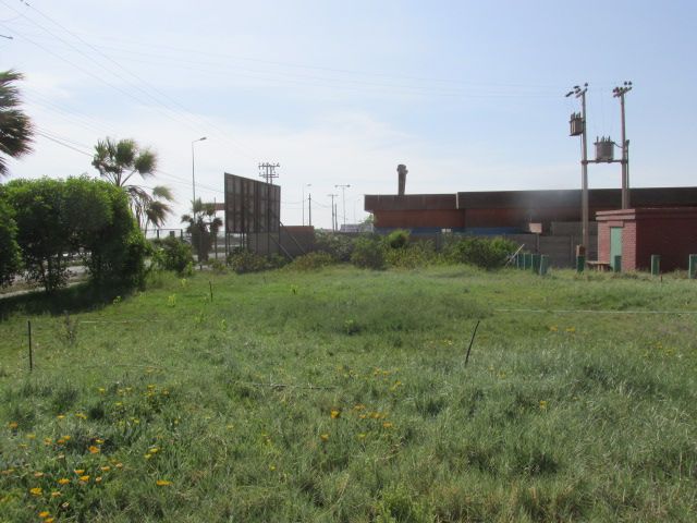 sitio en Sector industrial Puerta America, ubicación inmejorable, totalmente urbanizado, con frente hacia carretera internacional 11 C-H.